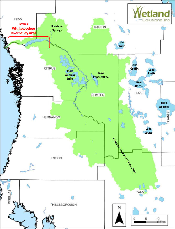 Withlacoochee River Watershed